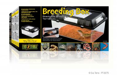 Breeding Box Medium 